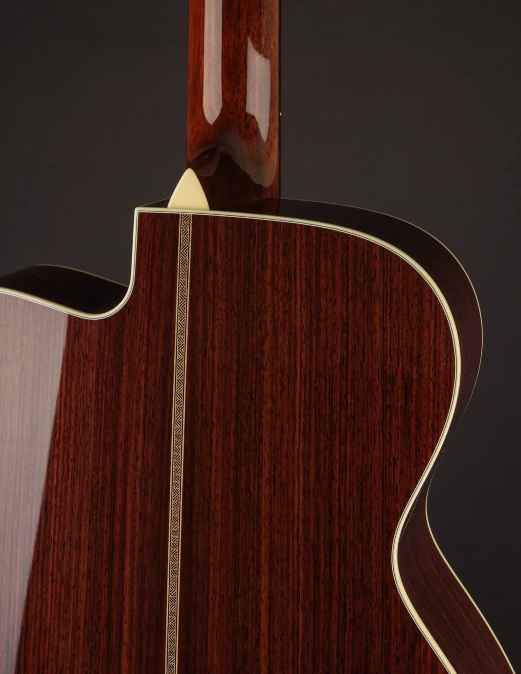 Collings OM2HC Cutaway