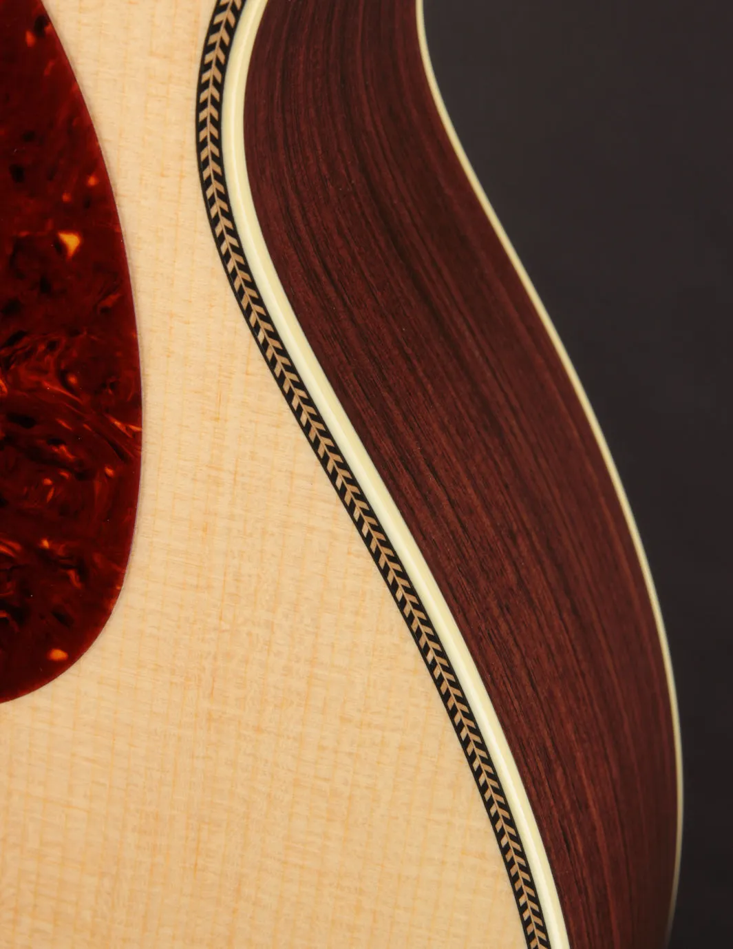 Collings OM2HC Cutaway