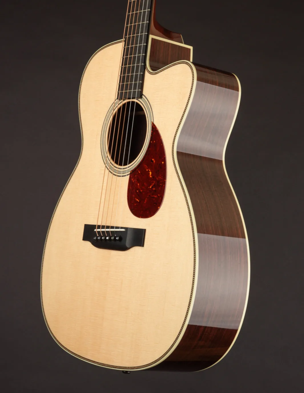 Collings OM2HC Cutaway