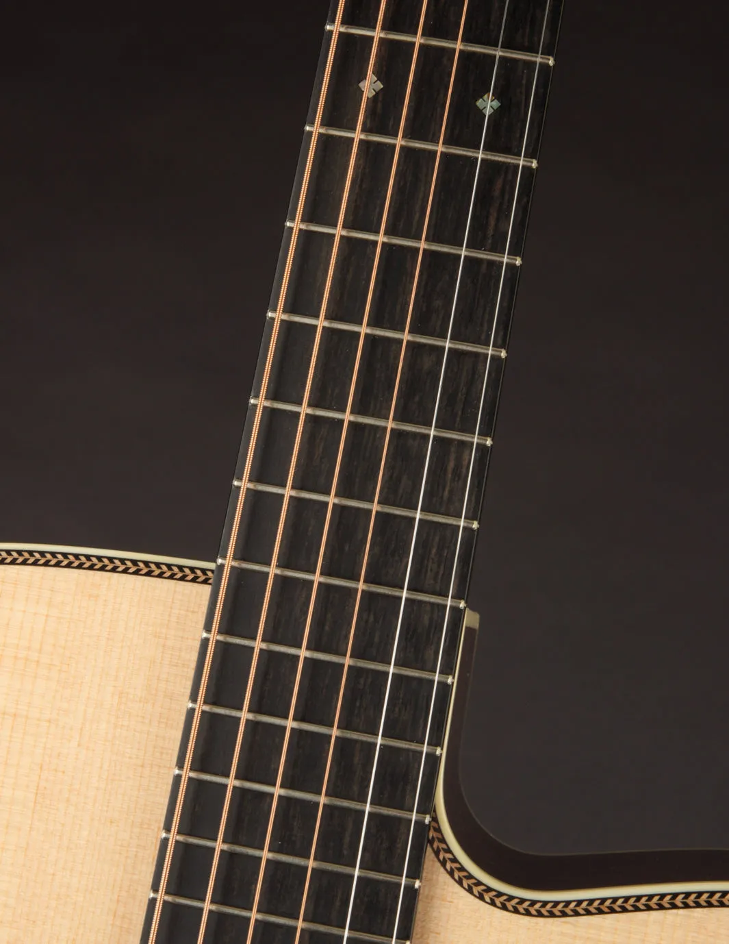 Collings OM2HC Cutaway